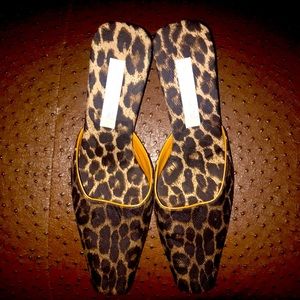 Olivia Rose Tal Mules